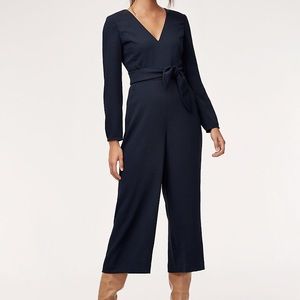 Aritzia Wilfred Ecoulement Jumpsuit Longsleeve
